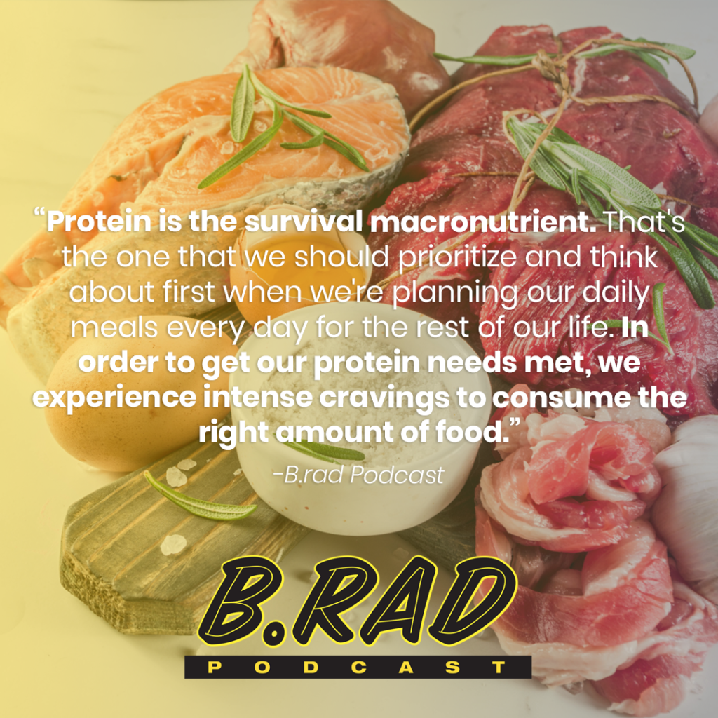 Optimizing Your AnimalBased Diet, Part 3 Carnivore Scores Food